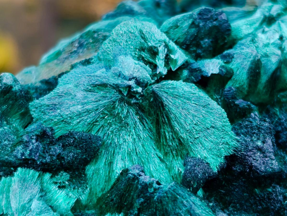 Natural Exquisite Silky Malachite Specimen x 1 From Kasompe, Congo
