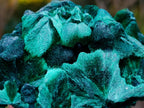 Natural Exquisite Silky Malachite Specimen x 1 From Kasompe, Congo