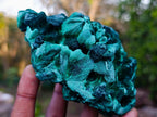 Natural Exquisite Silky Malachite Specimen x 1 From Kasompe, Congo