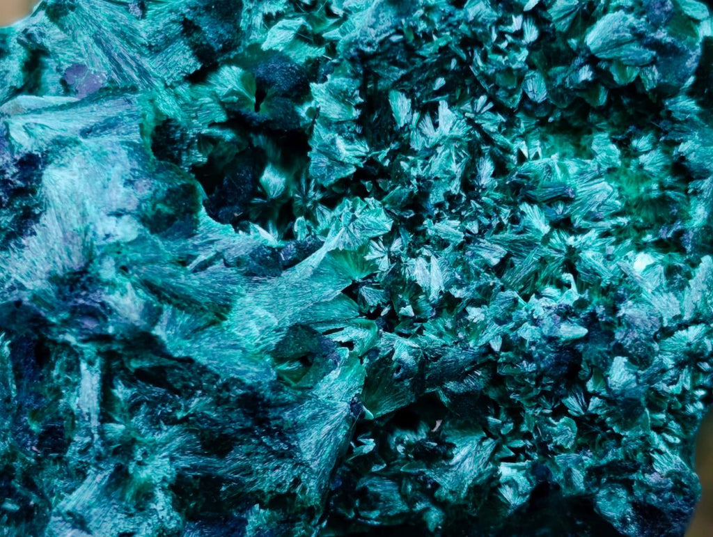 Natural Exquisite Silky Malachite Specimen x 1 From Kasompe, Congo