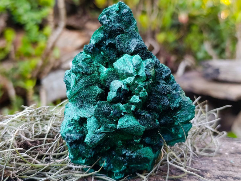 Natural Exquisite Silky Malachite Specimen x 1 From Kasompe, Congo