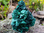 Natural Exquisite Silky Malachite Specimen x 1 From Kasompe, Congo