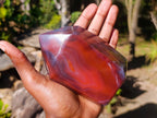 Polished Strawberry Agate Display Crystal x 1 From Mozambique