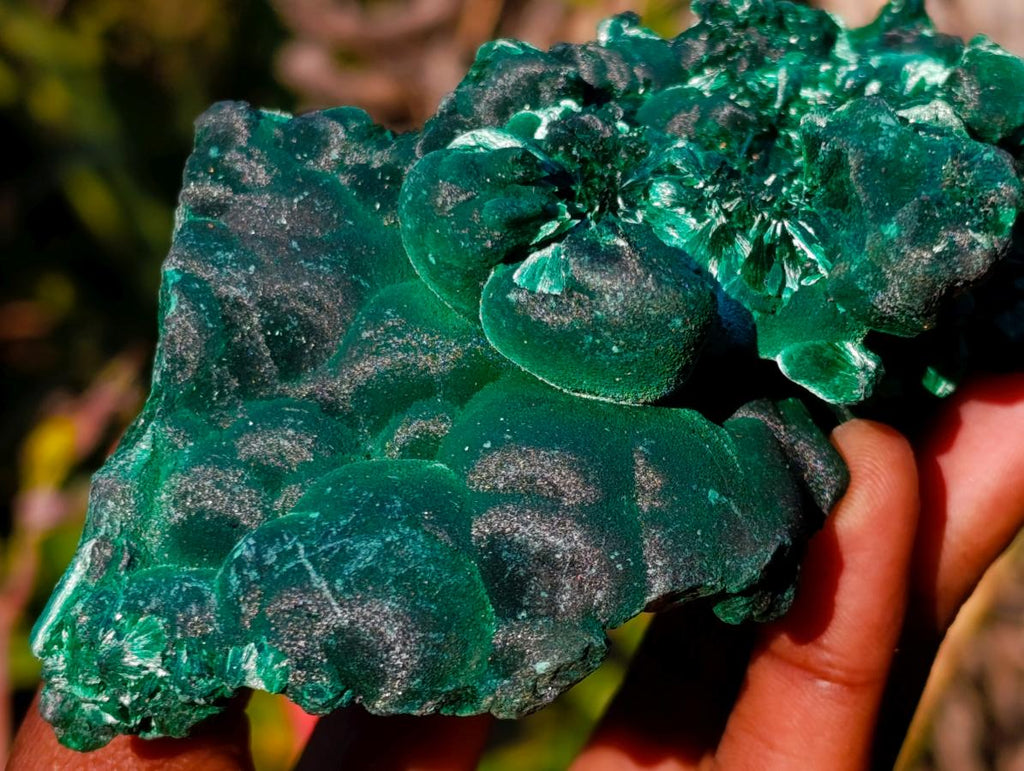 Natural Large Classic Cabinet Size Silky Malachite Specimen x 1 From Kasompe, Congo