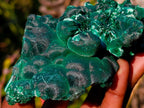 Natural Large Classic Cabinet Size Silky Malachite Specimen x 1 From Kasompe, Congo