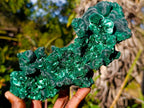 Natural Large Classic Cabinet Size Silky Malachite Specimen x 1 From Kasompe, Congo