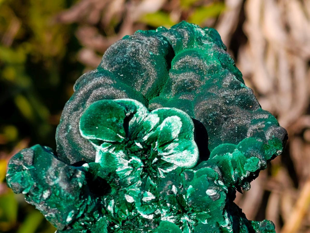 Natural Large Classic Cabinet Size Silky Malachite Specimen x 1 From Kasompe, Congo
