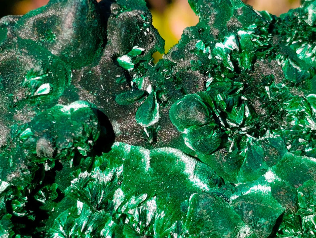 Natural Large Classic Cabinet Size Silky Malachite Specimen x 1 From Kasompe, Congo