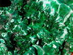Natural Large Classic Cabinet Size Silky Malachite Specimen x 1 From Kasompe, Congo