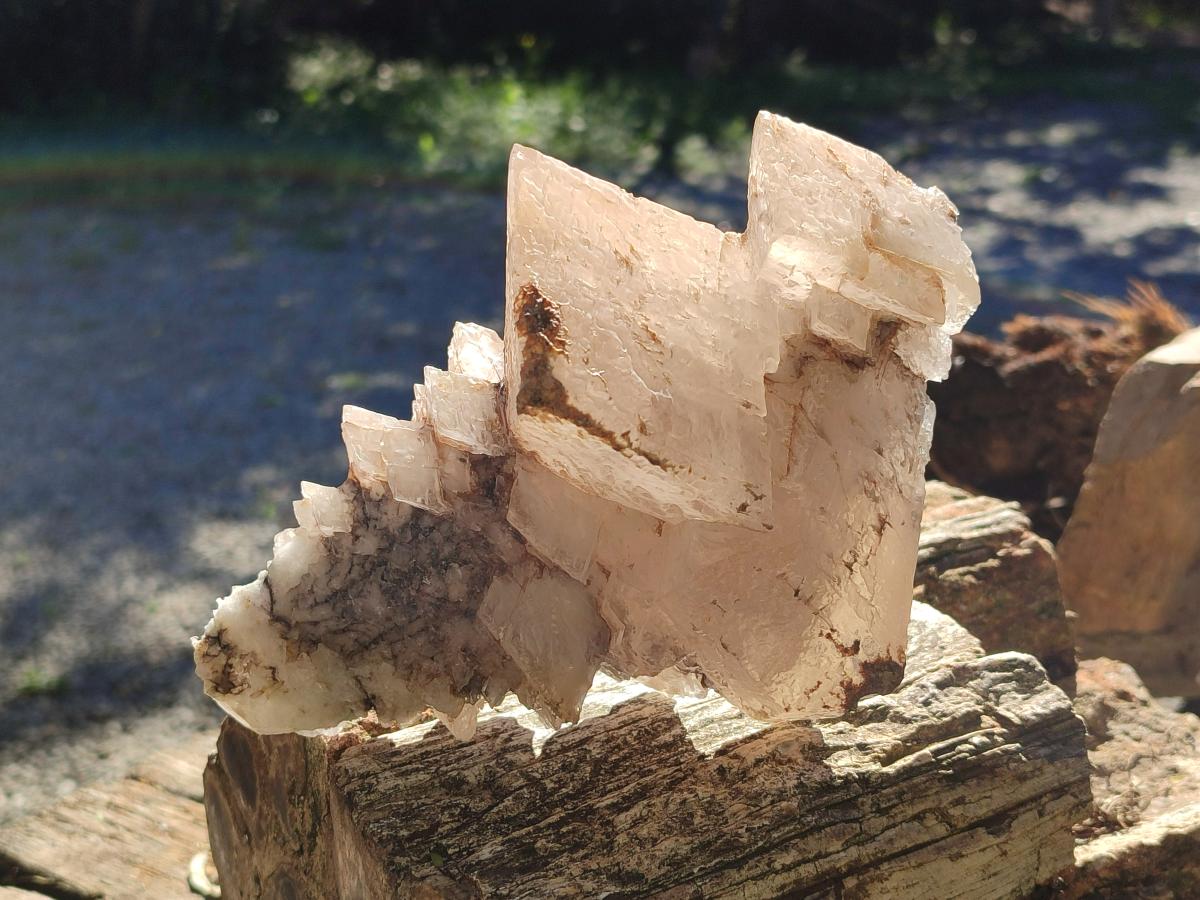 Natural Large Exceptional Rhombohedral Calcite Specimen x 1 From Albert's Mountain, Lesotho