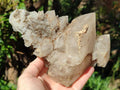 Natural Large Exceptional Rhombohedral Calcite Specimen x 1 From Albert's Mountain, Lesotho