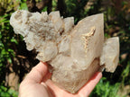 Natural Large Exceptional Rhombohedral Calcite Specimen x 1 From Albert's Mountain, Lesotho