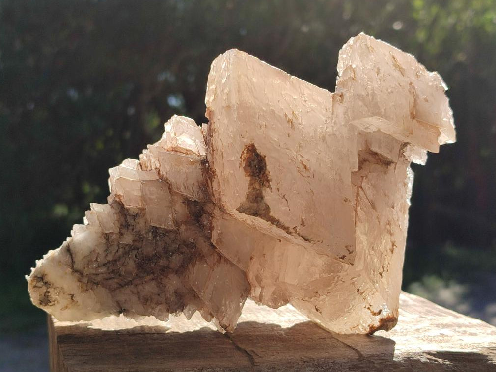 Natural Large Exceptional Rhombohedral Calcite Specimen x 1 From Albert's Mountain, Lesotho