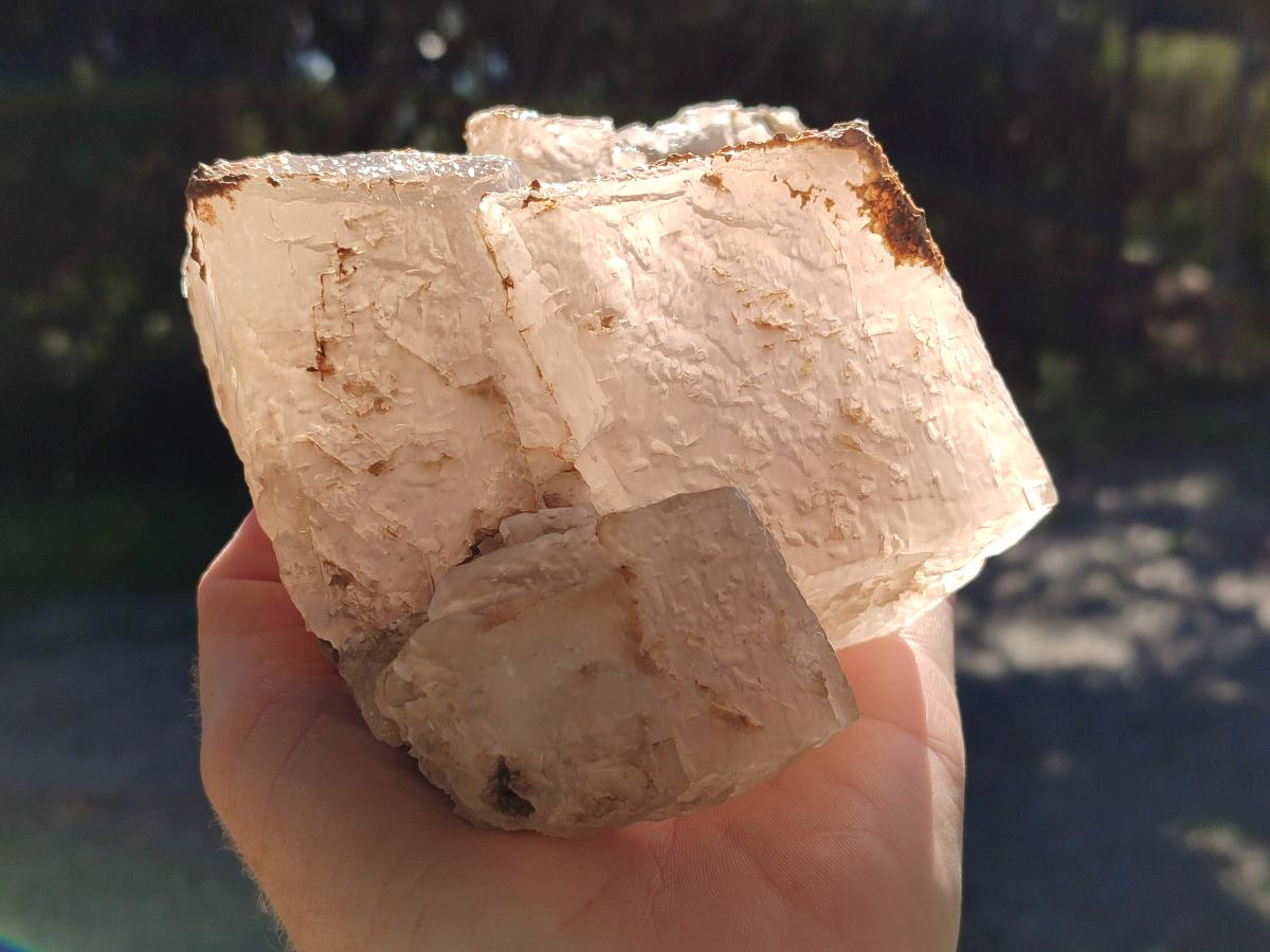 Natural Large Exceptional Rhombohedral Calcite Specimen x 1 From Albert's Mountain, Lesotho
