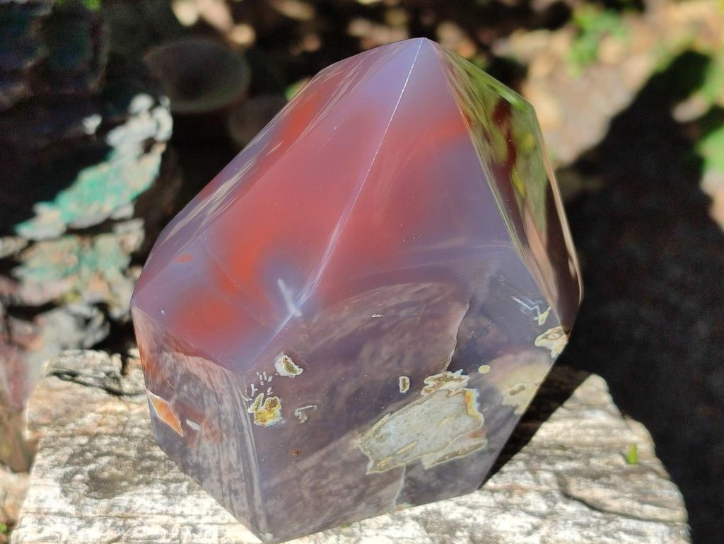 Polished Strawberry Agate Display Crystal x 1 From Mozambique