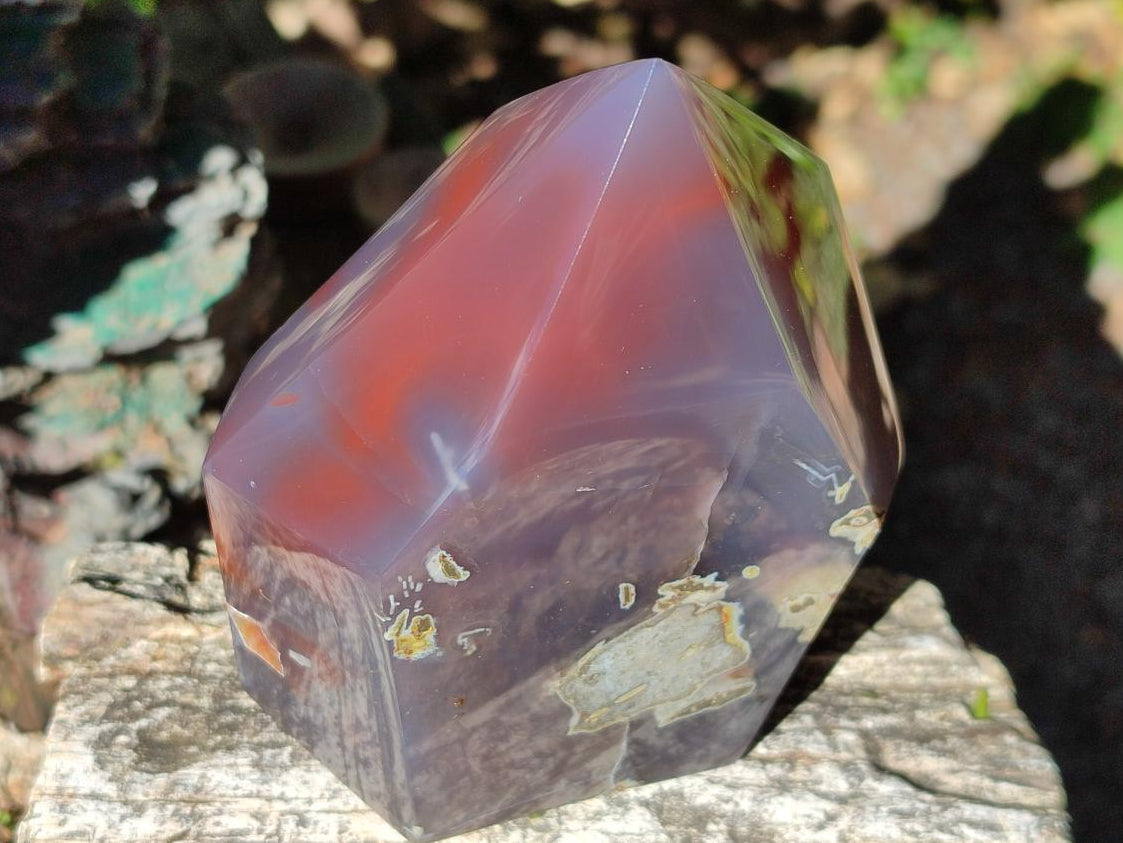 Polished Strawberry Agate Display Crystal x 1 From Mozambique