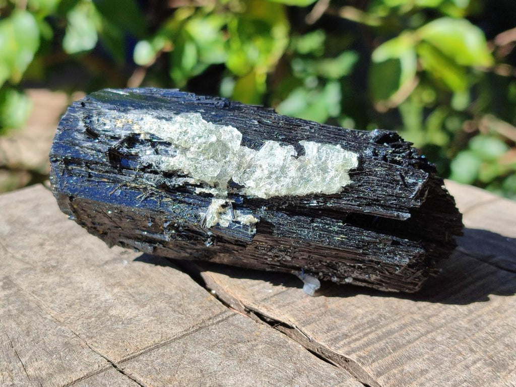 Natural Large Schorl Black Tourmaline Crystal with Goshenite and Hyalite Opal x 1 From Erongo, Namibia