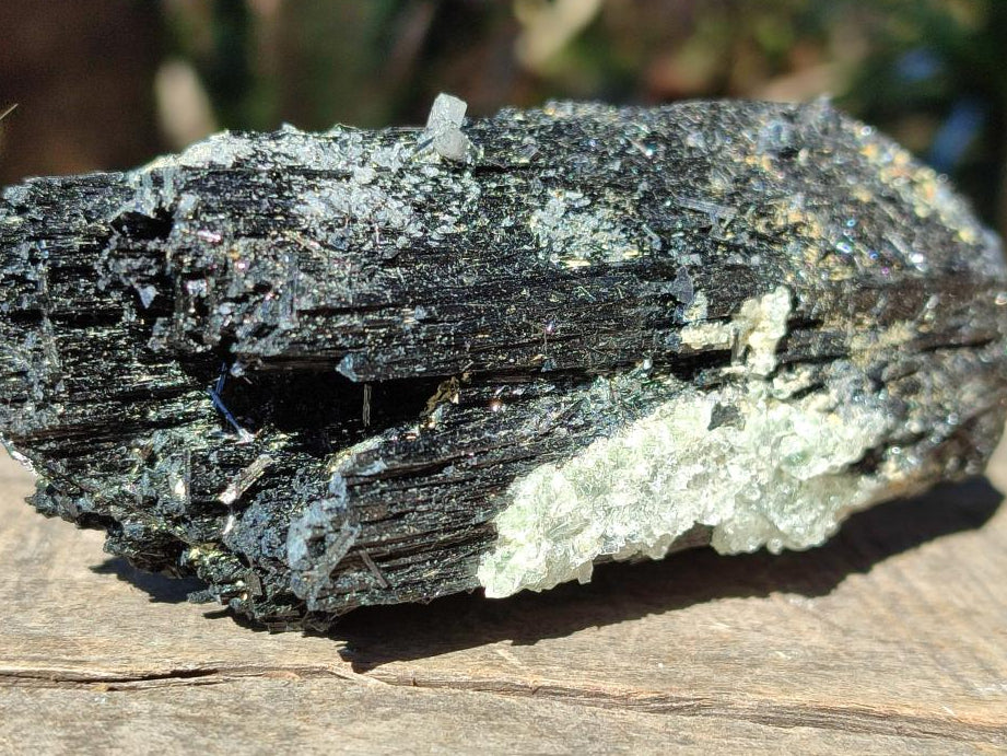 Natural Large Schorl Black Tourmaline Crystal with Goshenite and Hyalite Opal x 1 From Erongo, Namibia