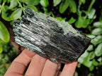 Natural Large Schorl Black Tourmaline Crystal with Goshenite and Hyalite Opal x 1 From Erongo, Namibia