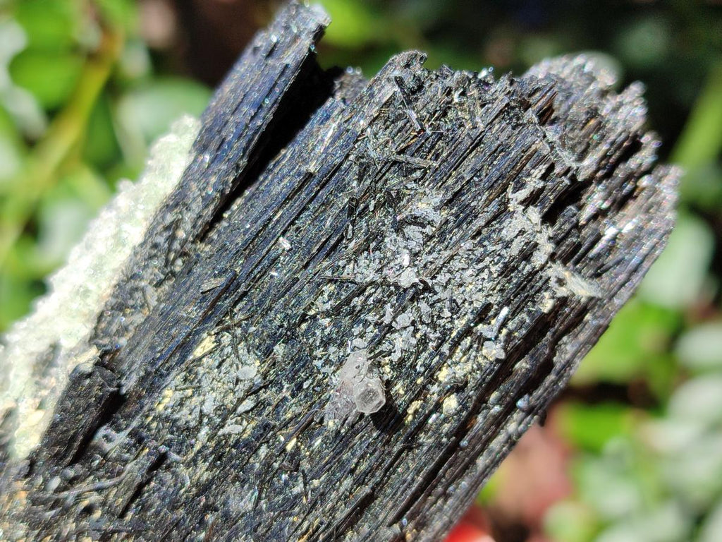 Natural Large Schorl Black Tourmaline Crystal with Goshenite and Hyalite Opal x 1 From Erongo, Namibia