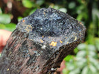 Natural Large Schorl Black Tourmaline Crystal with Goshenite and Hyalite Opal x 1 From Erongo, Namibia