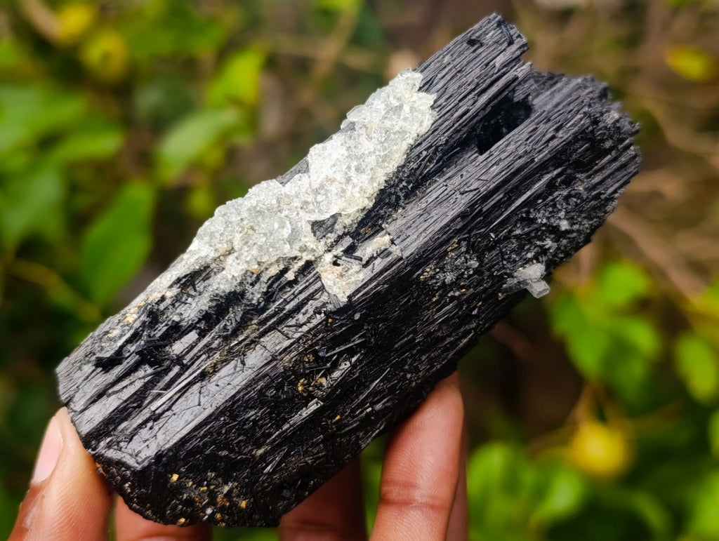 Natural Large Schorl Black Tourmaline Crystal with Goshenite and Hyalite Opal x 1 From Erongo, Namibia