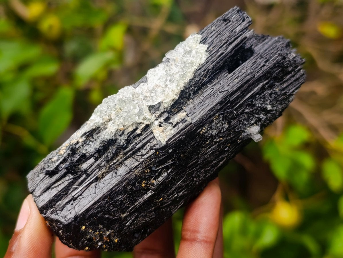 Natural Large Schorl Black Tourmaline Crystal with Goshenite and Hyalite Opal x 1 From Erongo, Namibia