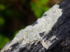 Natural Large Schorl Black Tourmaline Crystal with Goshenite and Hyalite Opal x 1 From Erongo, Namibia