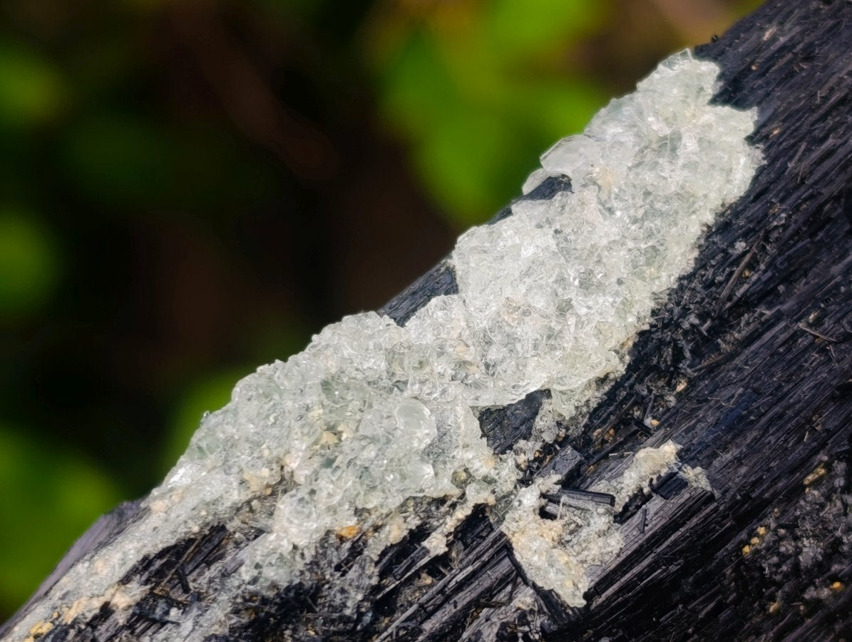 Natural Large Schorl Black Tourmaline Crystal with Goshenite and Hyalite Opal x 1 From Erongo, Namibia