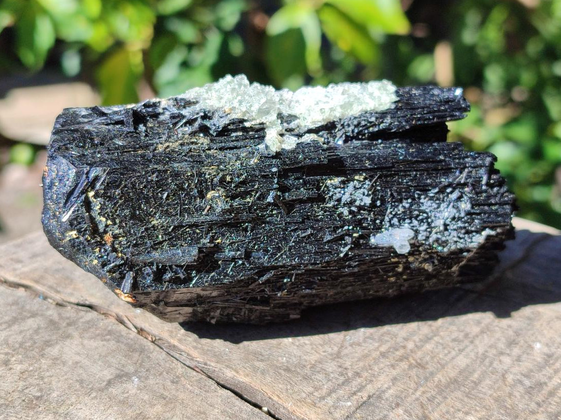 Natural Large Schorl Black Tourmaline Crystal with Goshenite and Hyalite Opal x 1 From Erongo, Namibia