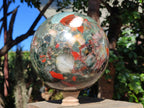 Polished XL Bloodstone Sphere x 1 From Swaziland