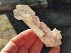 Natural Skeletal Twin Amethyst Sceptre Crystal x 1 From Ambatondrazaka, Madagascar