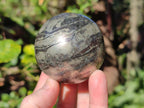 Polished Golden Pyrite "Pharaoh Stone" Sphere x 1 From Iron Duke Mine, Zimbabwe