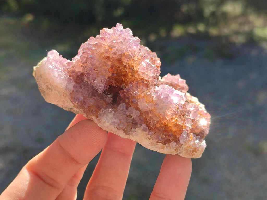 Natural Spirit Ametrine Crystal Cluster x 1 From Boekenhouthoek, South Africa
