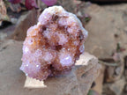 Natural Spirit Ametrine Crystal Cluster x 1 From Boekenhouthoek, South Africa