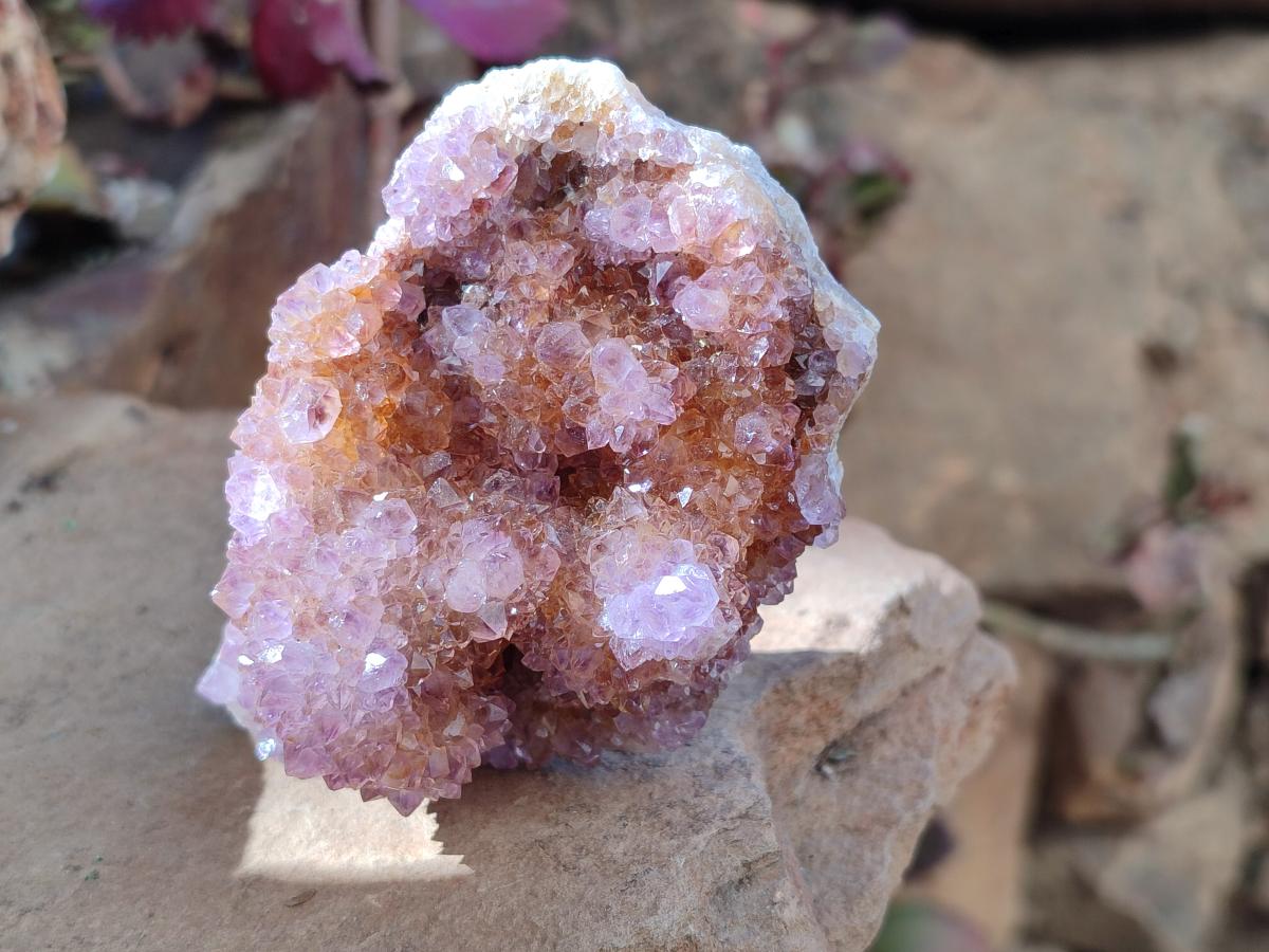Natural Spirit Ametrine Crystal Cluster x 1 From Boekenhouthoek, South Africa
