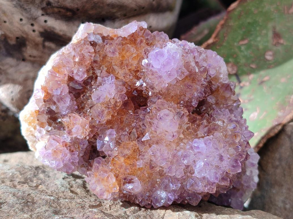 Natural Spirit Ametrine Crystal Cluster x 1 From Boekenhouthoek, South Africa