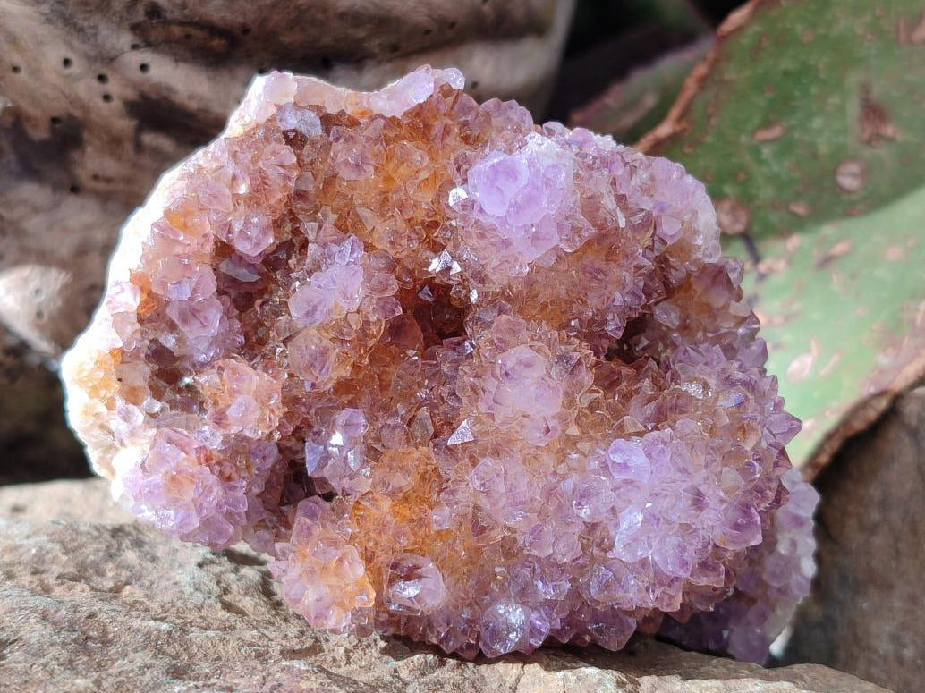 Natural Spirit Ametrine Crystal Cluster x 1 From Boekenhouthoek, South Africa