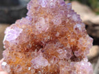 Natural Spirit Ametrine Crystal Cluster x 1 From Boekenhouthoek, South Africa