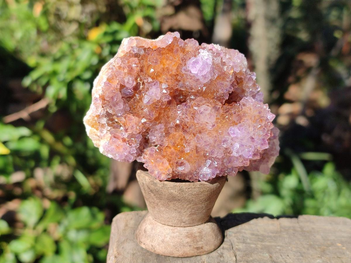 Natural Spirit Ametrine Crystal Cluster x 1 From Boekenhouthoek, South Africa