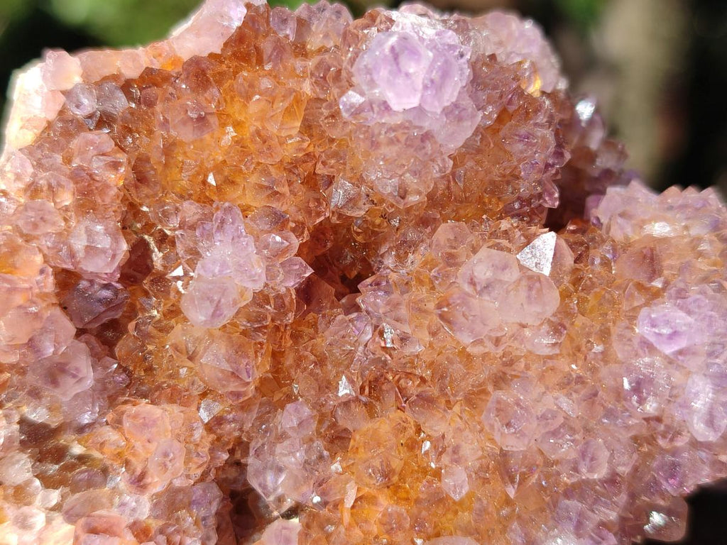 Natural Spirit Ametrine Crystal Cluster x 1 From Boekenhouthoek, South Africa