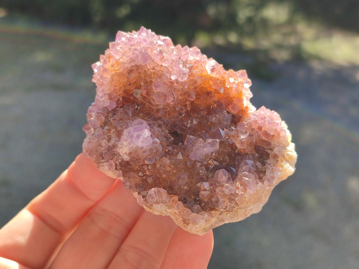 Natural Spirit Ametrine Crystal Cluster x 1 From Boekenhouthoek, South Africa