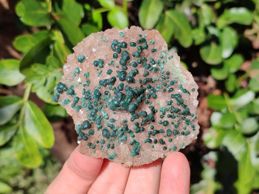 Natural Cabinet Size Ball Malachite Specimen and Smokey Quartz on Dolomite Matrix  x 1 From Kambove, Congo