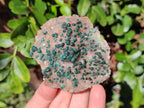 Natural Cabinet Size Ball Malachite Specimen and Smokey Quartz on Dolomite Matrix  x 1 From Kambove, Congo