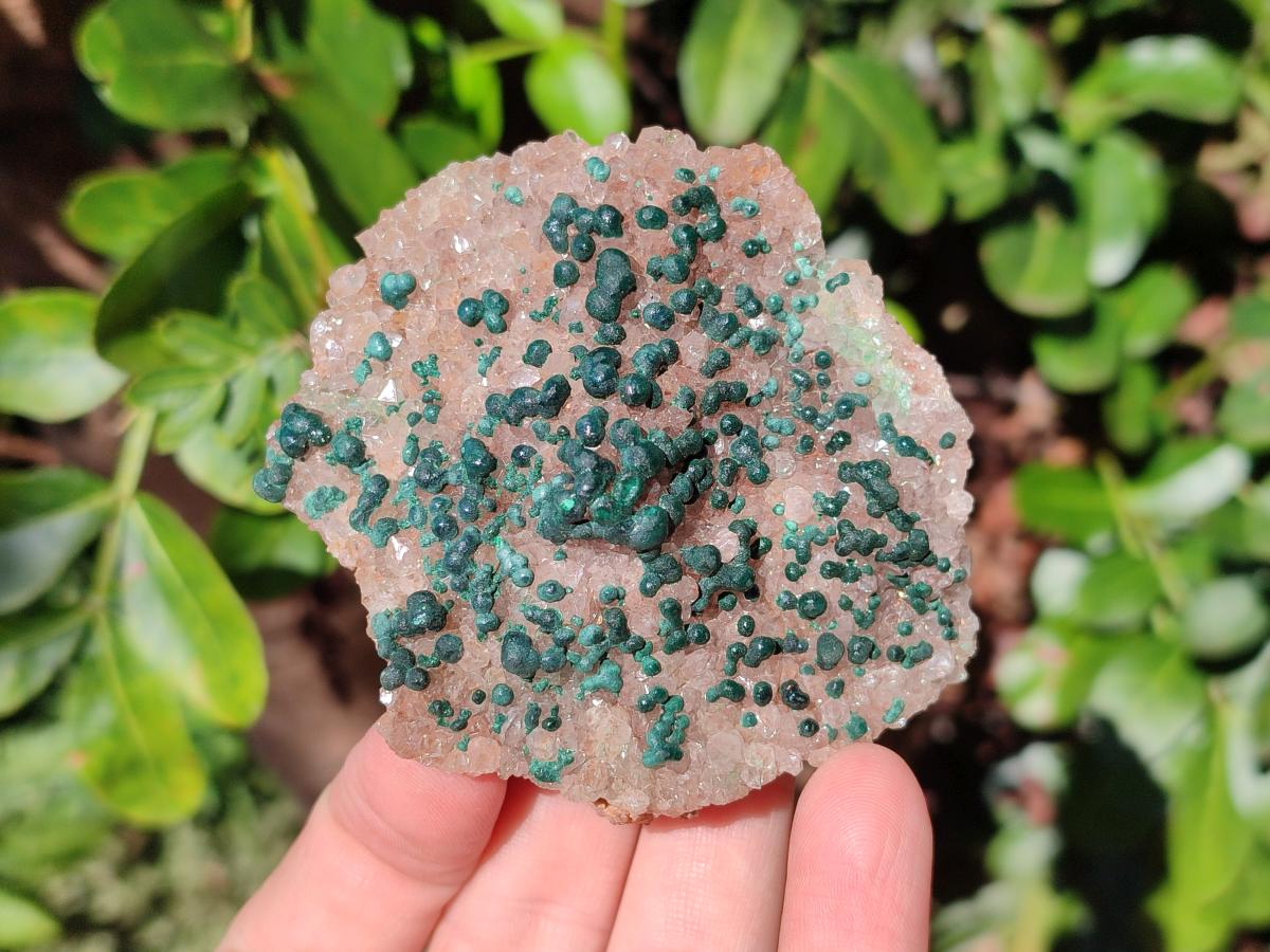 Natural Cabinet Size Ball Malachite Specimen and Smokey Quartz on Dolomite Matrix  x 1 From Kambove, Congo