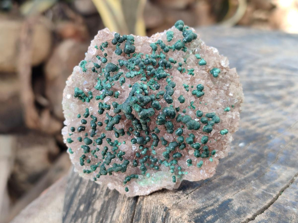 Natural Cabinet Size Ball Malachite Specimen and Smokey Quartz on Dolomite Matrix  x 1 From Kambove, Congo