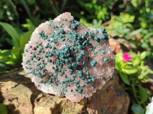 Natural Cabinet Size Ball Malachite Specimen and Smokey Quartz on Dolomite Matrix  x 1 From Kambove, Congo
