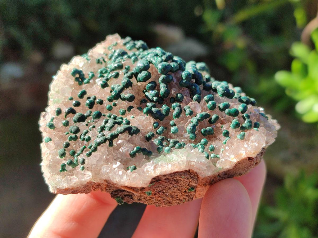 Natural Cabinet Size Ball Malachite Specimen and Smokey Quartz on Dolomite Matrix  x 1 From Kambove, Congo