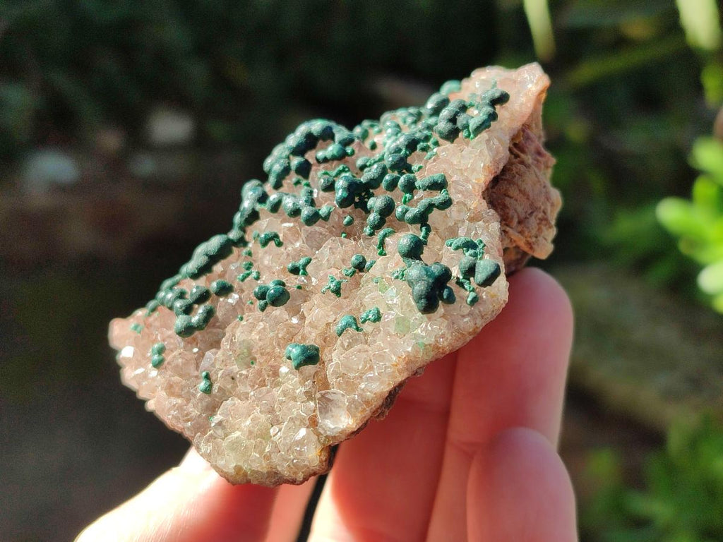 Natural Cabinet Size Ball Malachite Specimen and Smokey Quartz on Dolomite Matrix  x 1 From Kambove, Congo