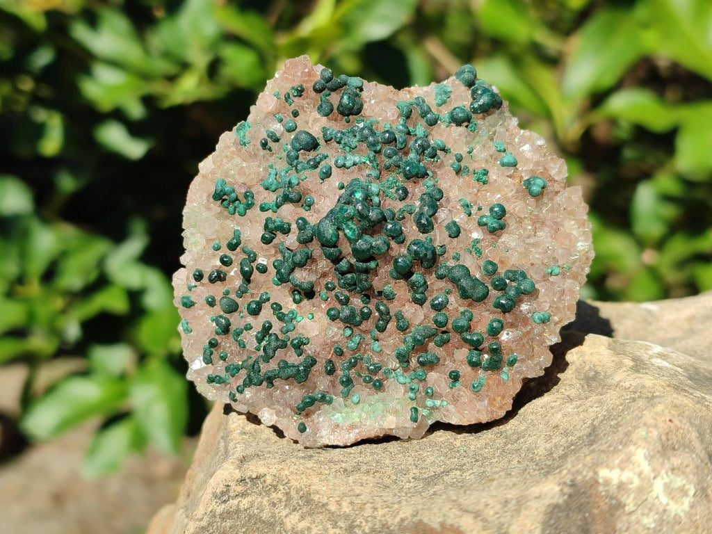 Natural Cabinet Size Ball Malachite Specimen and Smokey Quartz on Dolomite Matrix  x 1 From Kambove, Congo